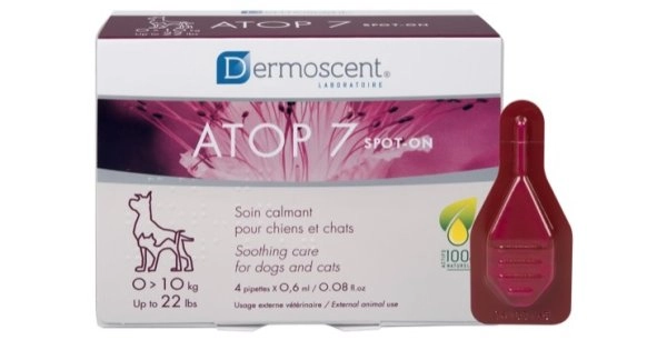 farmaciedelsorriso-12403988