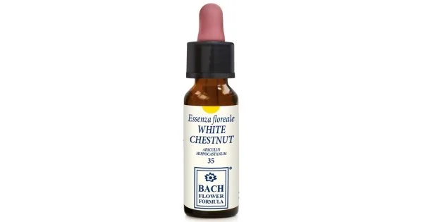farmaciedelsorriso-12576571