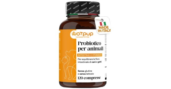 farmaciedelsorriso-22360861