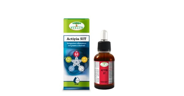 farmaciedelsorriso2349791